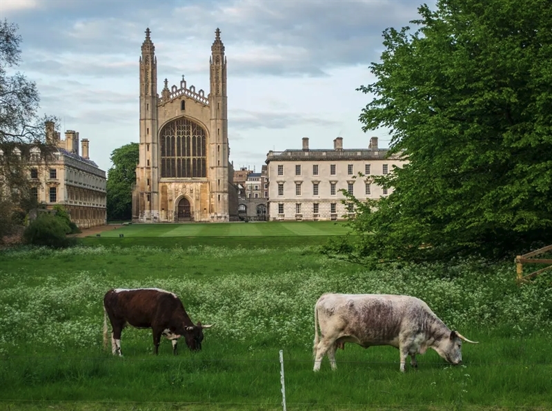 Interesting Things to Know about Cambridge